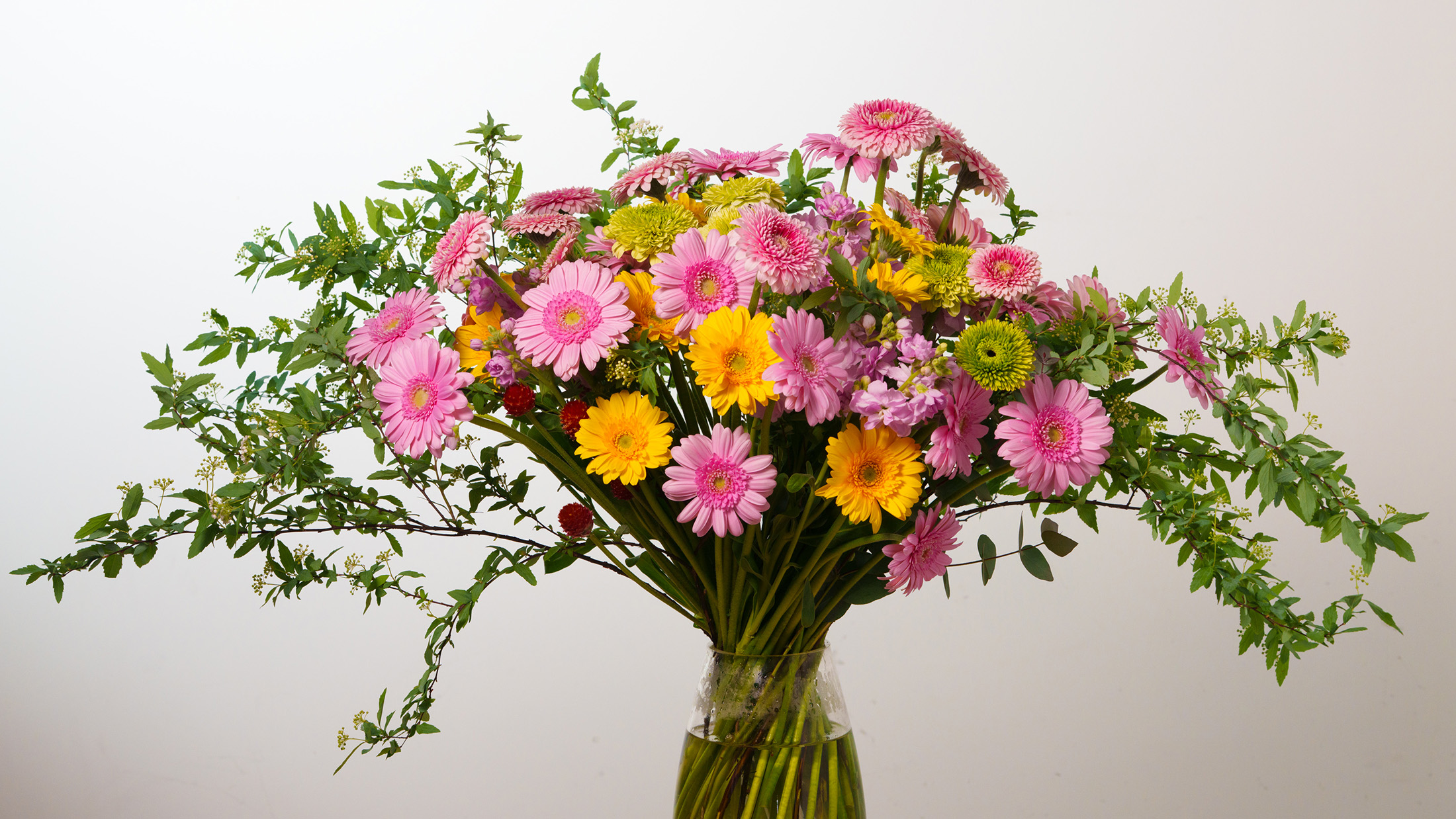 メインビジュアル