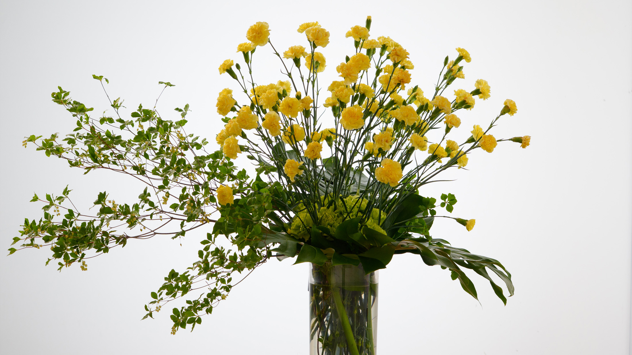 メインビジュアル